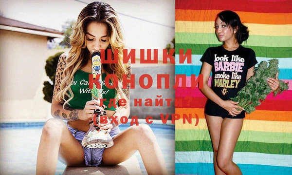МДПВ Осташков