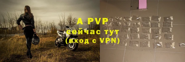 трава Осинники
