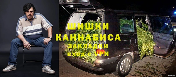 трава Осинники