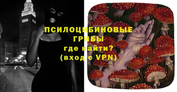 трава Осинники