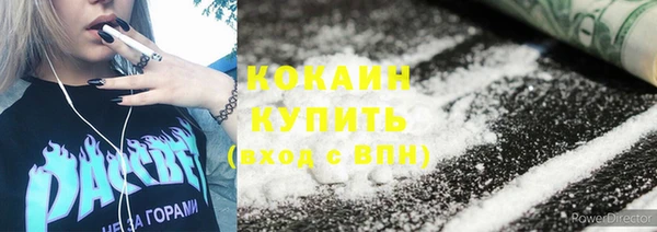 трава Осинники