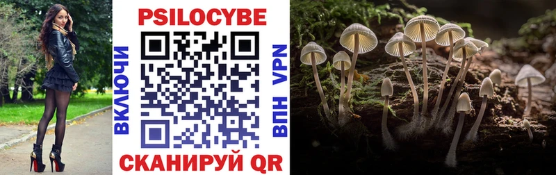 Псилоцибиновые грибы прущие грибы  Томск 