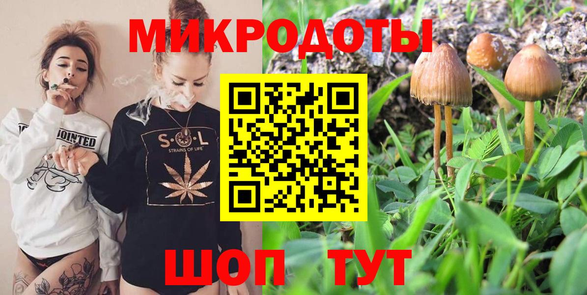 Галлюциногенные грибы Psilocybe  Вход с VPN  Томск 