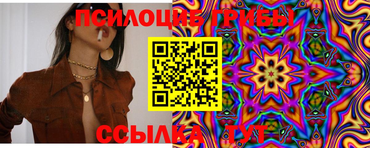 Псилоцибиновые грибы прущие грибы Томск